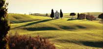 Lions, Concorso fotografico a tema ambientale