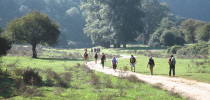 La Via Francigena, il senso di un viaggio