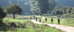 Lungo la Via Francigena  @ Villa Viviani | Firenze | Toscana | Italia