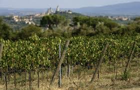 Il Lions Brunelleschi e la Vernaccia di San Gimignano